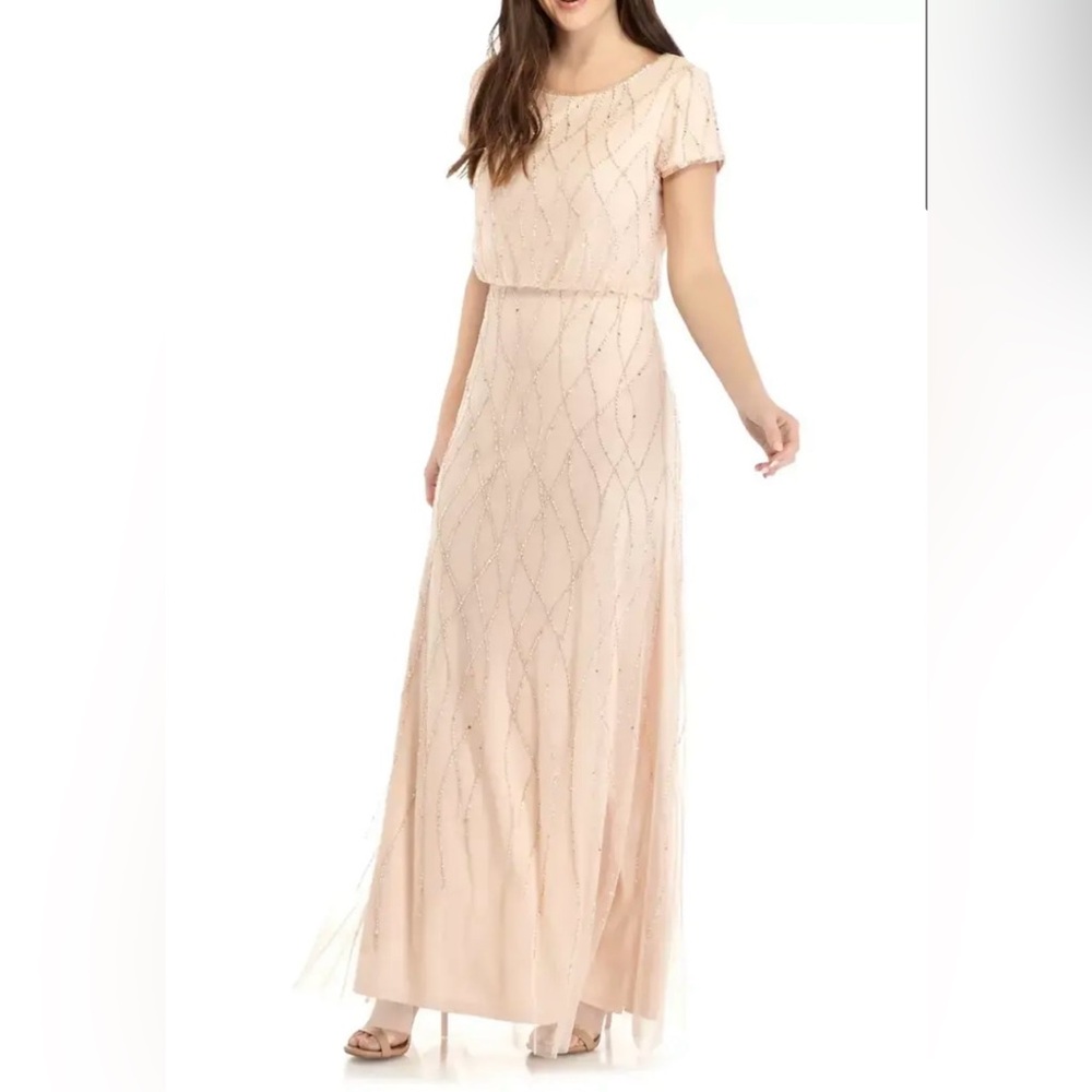 Adrianna Papell Champagne Embroidered Lace Inset Column Evening Dress